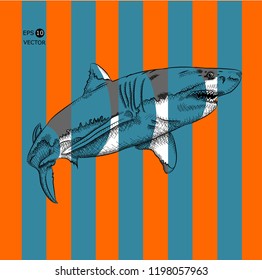 Image of  shark in the background of the bright bands. vector illustration.