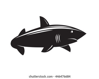 Image of shark isolated on white background. Art vector illustration