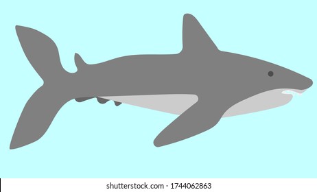 Image of a shark on a blue background. Vector image, eps 10