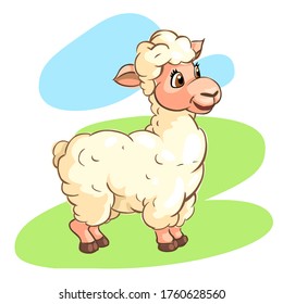 Image of a sheep in cartoon style, on a colored background.