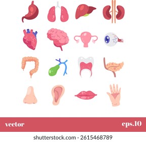 The image showcases an array of human organs and anatomical features depicted in a cartoon style
