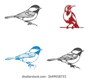 The image showcases four bird illustrations, each rendered in a distinct style and color palette against a clean white backdrop.