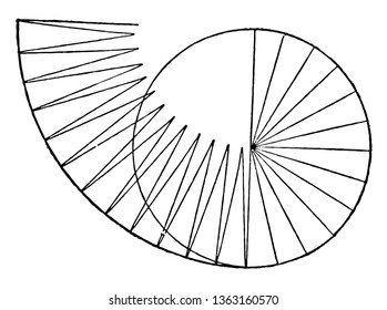 An image showing the circle formed by triangles whose bases form the circumference, and whose altitude is the radius (1/2 diameter) of the circle, vintage line drawing or engraving illustration.