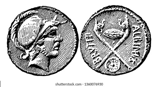 An image showing a coin of Brutus and Albinus, vintage line drawing or engraving illustration.