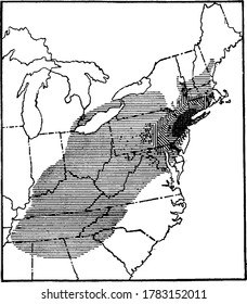 Image showing distribution of chestnut Blight, vintage line drawing or engraving illustration.