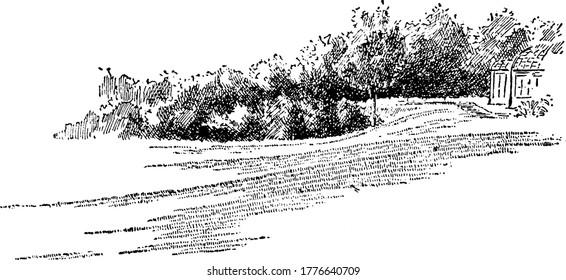 Image showing a large bare area and a side garden, vintage line drawing or engraving illustration.