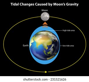 Image Showing Tidal Changes Caused By Stock Vector (Royalty Free ...