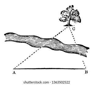 An image showing a triangle with a tree. Triangle used to refine the distance of an inaccessible object without measuring the elevation and climate in a horizontal plane or not, vintage line drawing