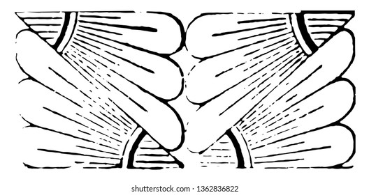 The image shows the beautiful pattern similar to the wing. This is half of the parts of the flowers arranged in the opposite direction, one after the other, vintage line drawing or engraving