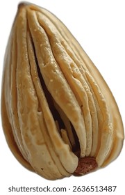 The image shows a close-up view of a single, dried fig, its wrinkled, light brown skin exhibiting a textured surface and a slightly darker interior peeking from the bottom.
