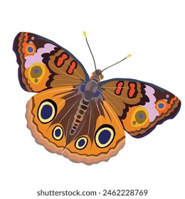 The image shows a colorful illustration of a butterfly with outstretched wings.  wings are decorated with patterns in various shades of orange, brown and black, and also have eye-like spots with blue
