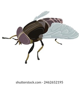 La Imagen muestra una ilustración detallada de una mosca. La mosca tiene Grandes ojos compuestos de color púrpura, un cuerpo segmentado con tonos marrones y grises, 