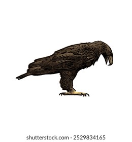 The image shows an eagle with its wings spread wide, symbolizing its power in flight. Its feathers are dark brown with detailed wing patterns, a curved beak, and sharp talons ready to catch prey.