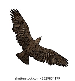 The image shows an eagle with its wings spread wide, symbolizing its power in flight. Its feathers are dark brown with detailed wing patterns, a curved beak, and sharp talons ready to catch prey.