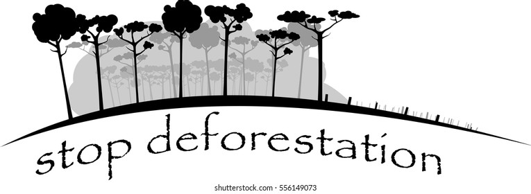 image shows felling rain forest in gray colors