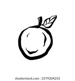 The image shows a hand drawn black and white illustration of a single orange with a leaf.