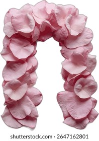 The image shows a letter "n" formed by an arrangement of pink rose petals, creating a visually appealing and floral representation of the letter.