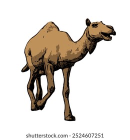 The image shows a light brown camel with one hump on its back. The camel is standing with one of its legs raised, indicating a walking motion. It has a slender body with a long neck and a slightly 