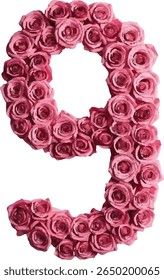 The image shows the number "9" nine formed by a cluster of pink roses, creating a visually appealing and unique representation of the numeral.