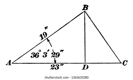 The image shows the oblique triangle with perpendicular drawing. The triangle has a median BD drawn from B to its opposite side AC, so that the triangle is divided into two parts, vintage line drawing