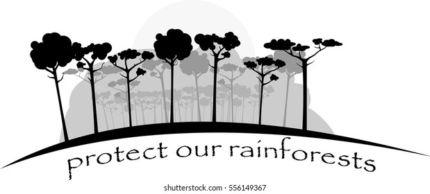 image shows rainforests in gray colors for you