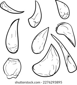 The image shows several fangs of predators. They are suitable for designing a cartoon project.