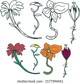 The image shows several types of plants or flowers.