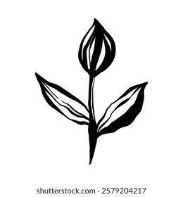 The image shows a stylized black ink drawing of a single flower with leaves on a white background.