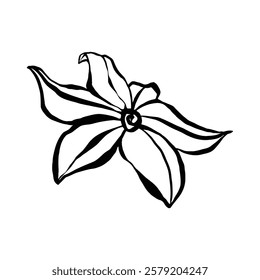 The image shows a stylized black ink drawing of a single flower on a white background.