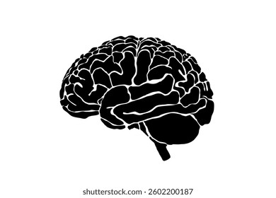 The image shows a stylized, black silhouette of a human brain against a white background