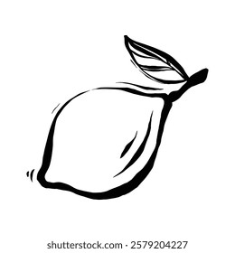 The image shows a stylized black and white line drawing of a single lemon with a leaf.