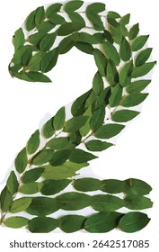 The image shows a stylized number "2" formed using overlapping green leaves, creating a natural and organic representation of the numeral.