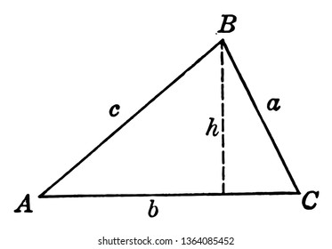 The image shows the triangle ABC with height h and its sides are labeled with lowercase letters a, b, c and height h that are shown with a dotted line, vintage line drawing or engraving illustration.