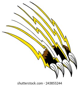 An image of a shredding claw.