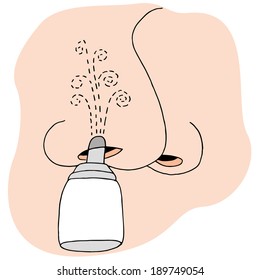 Imagen de spray sinusal.