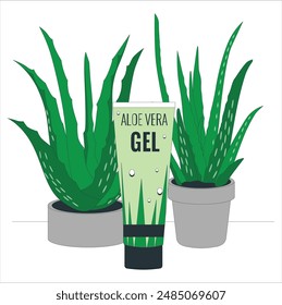 Image for skincare products. Aloe vera, cut into small pieces. Posed on glass plate for preparation to laboratory. Extracting substances for cosmetic purpose. Aloe vera gel maintain healthy skin. 2582
