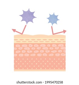 The image of the skin's barrier function, or the skin's barrier from the virus. On a white background.