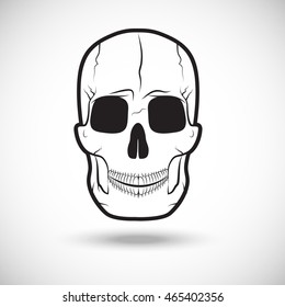 The image of the skull. Vector illustration.