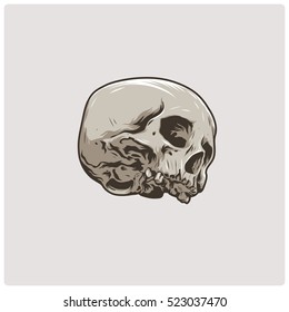 The image of the skull. Vector illustration.
