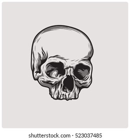 The image of the skull. Vector illustration.
