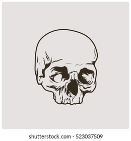 The image of the skull. Vector illustration.
