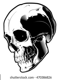 The image of the skull. Vector illustration. Isolated on white.