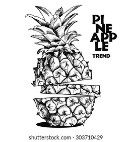 Image Slices Of Pineapple Fruit. Vector Black And White Illustration.