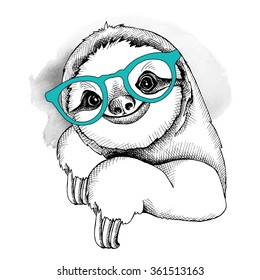 The image of the sloth in the glasses. Vector illustration.