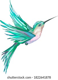Image of a small bird hummingbird .Vector