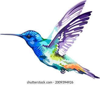 The image of a small bird. Hummingbird.Vector