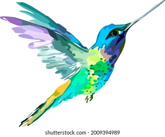The image of a small bird. Hummingbird.Vector