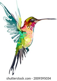 The image of a small bird. Hummingbird.Vector