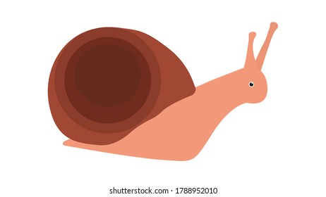 Image of a snail. Vector image, eps 10