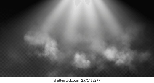 Image of soft rays of light illuminating fog and light haze, creating a magical and ethereal atmosphere on a dark transparent background.